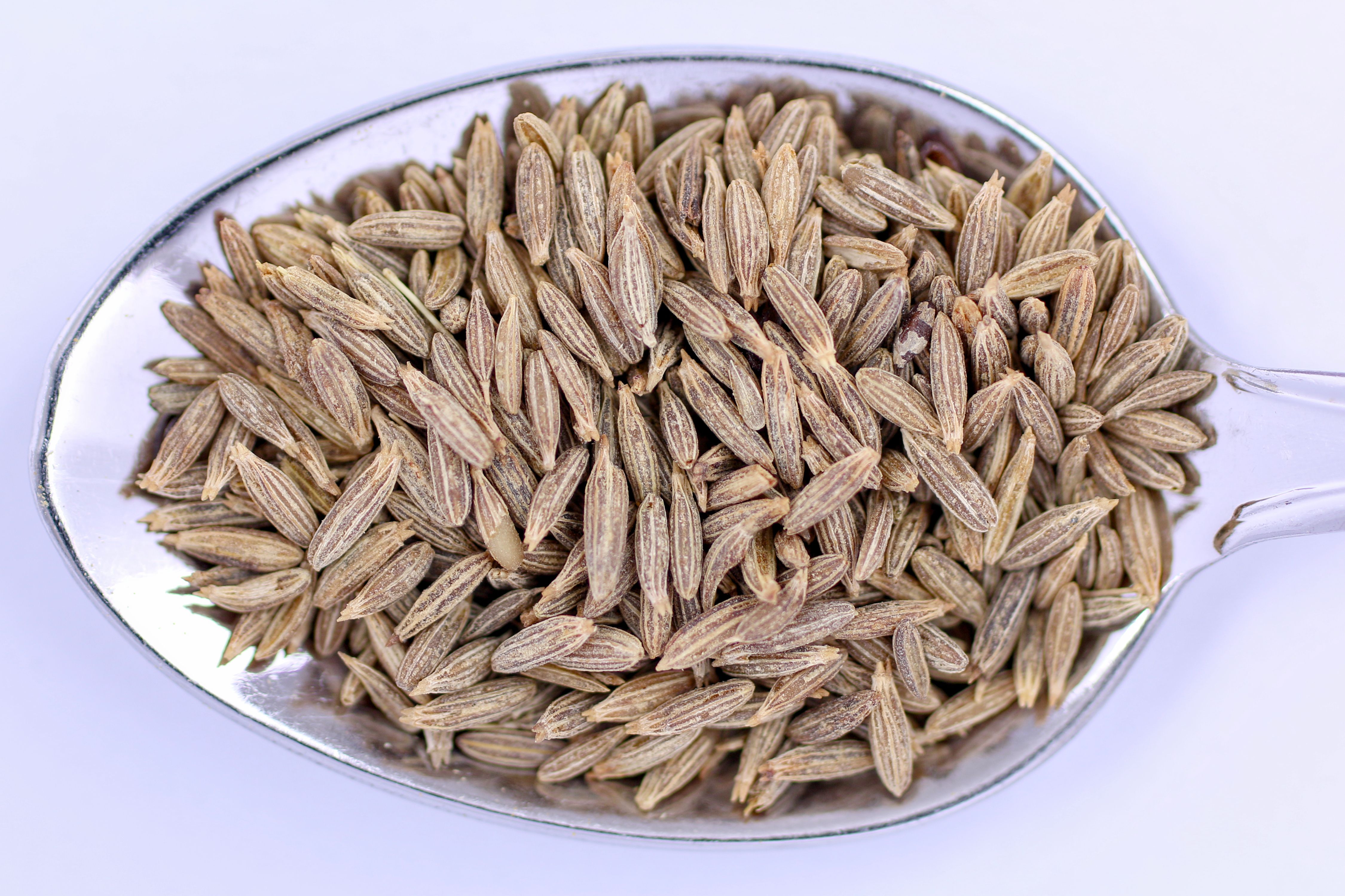 Cumin Seeds on spoon