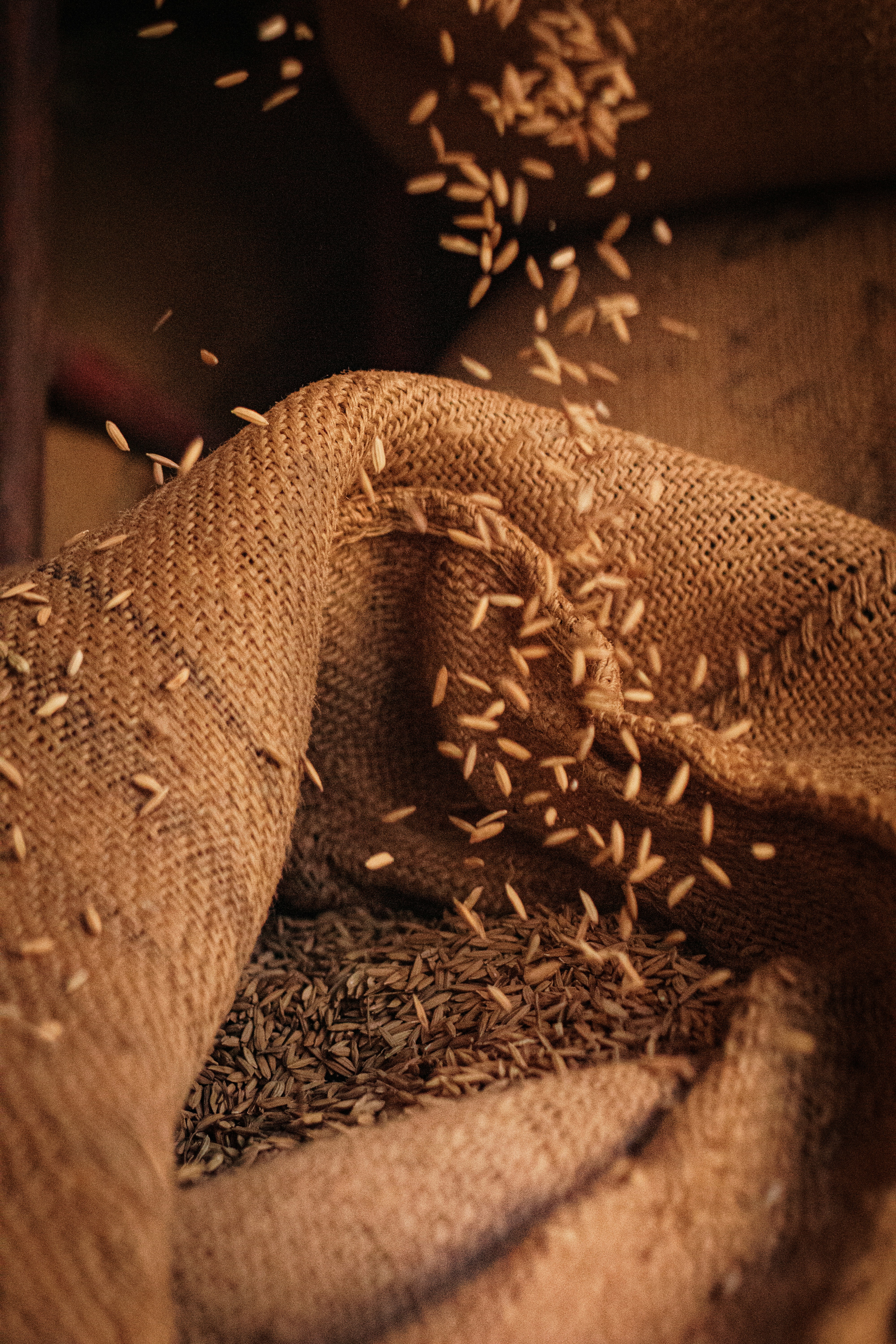 Cumin Seeds jute sack