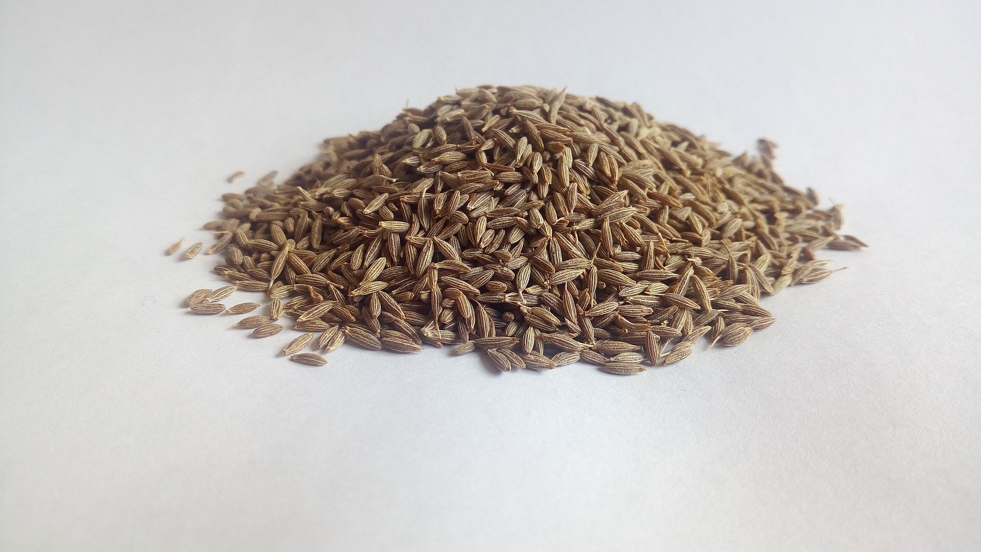 Cumin Jeera Seeds exporter India — 99% Sortex cleaned FOB & CIF Mumbai