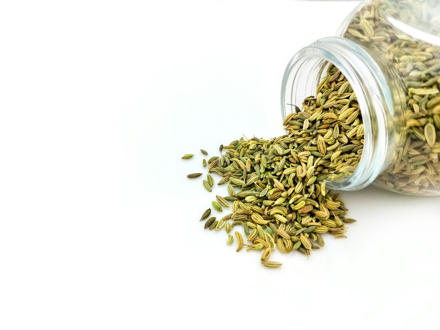 Fennel Seeds view 4