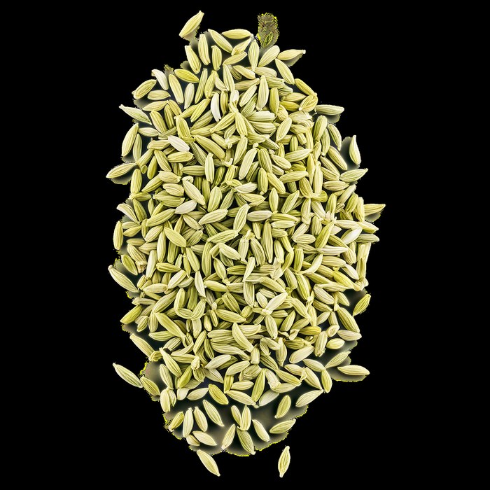 Fennel Seeds view 5