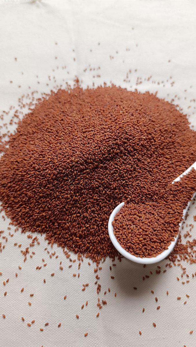 Halim Seeds View 2
