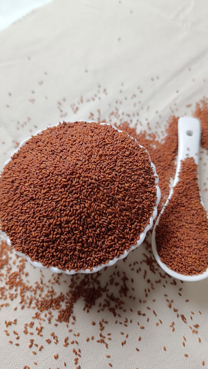 Halim Seeds View 3