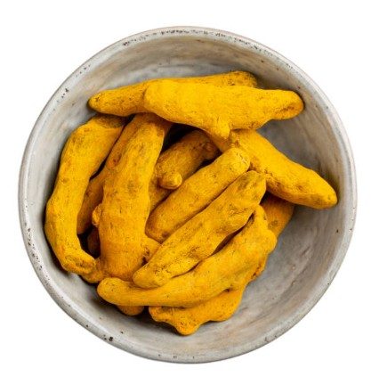 Turmeric finger exporter India Erode