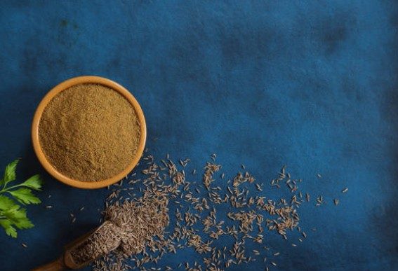 Ajwain powder exporter India FOB & CIF Mumbai