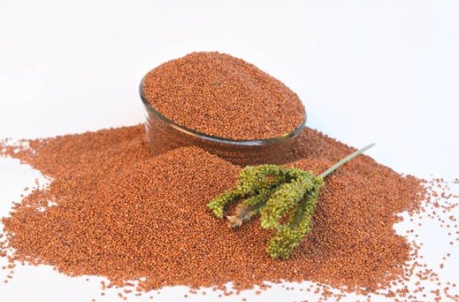 Ragi Millet
