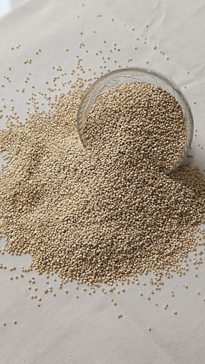 White Quinoa Bold exporter India