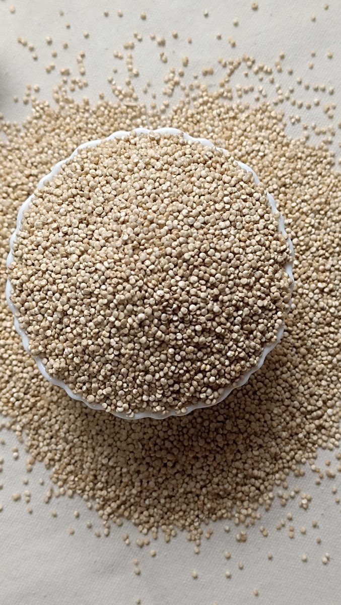 Quinoa Bold View 3