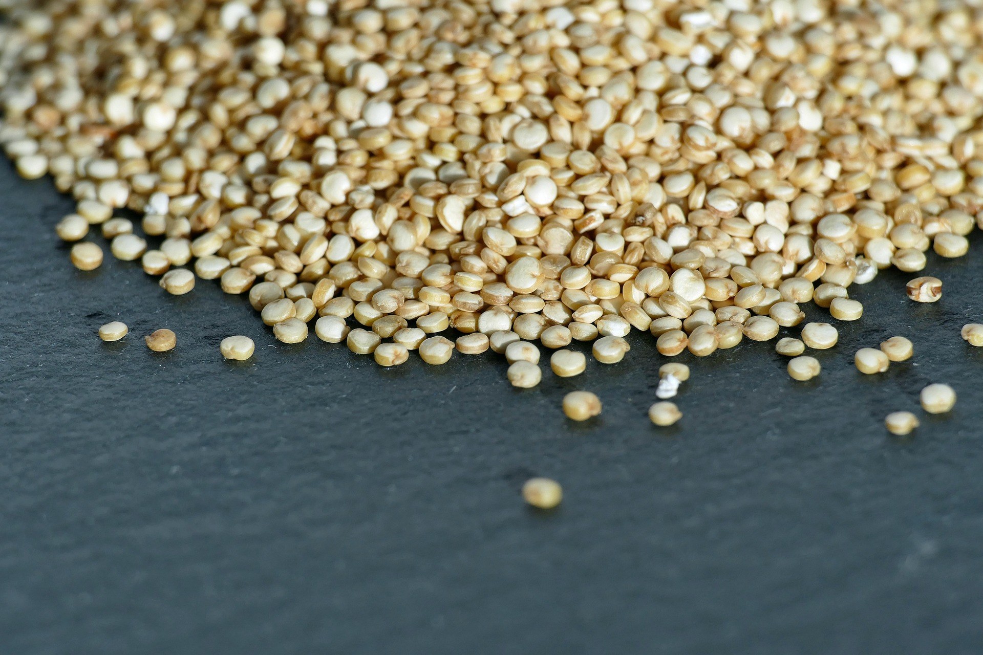 White Quinoa Bold exporter India