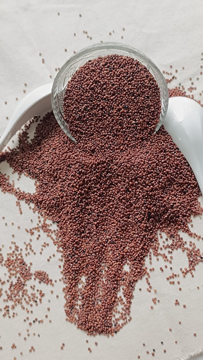 Red Quinoa exporter India