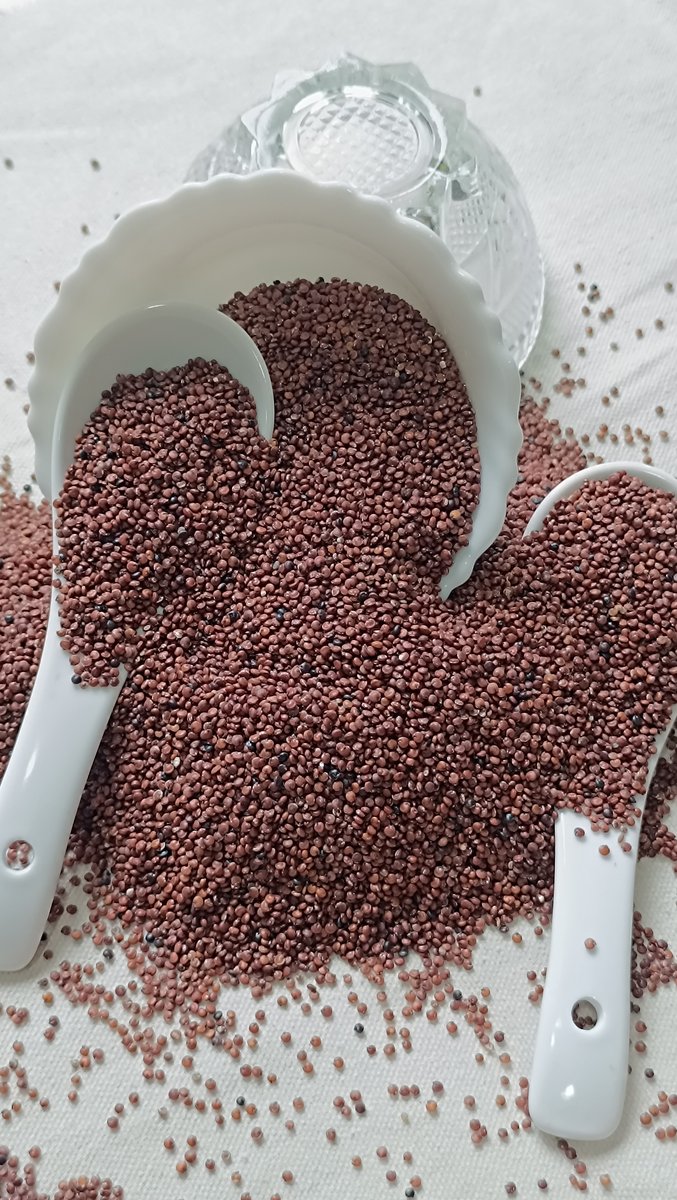 Quinoa Red View 2