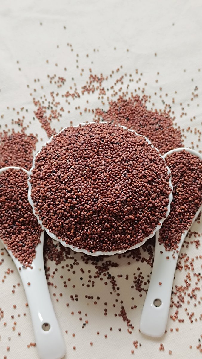 Quinoa Red View 3