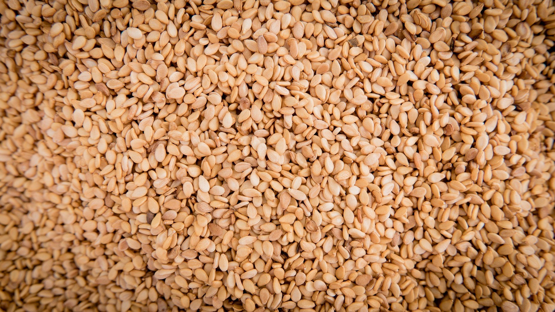 Golden sesame seeds texture